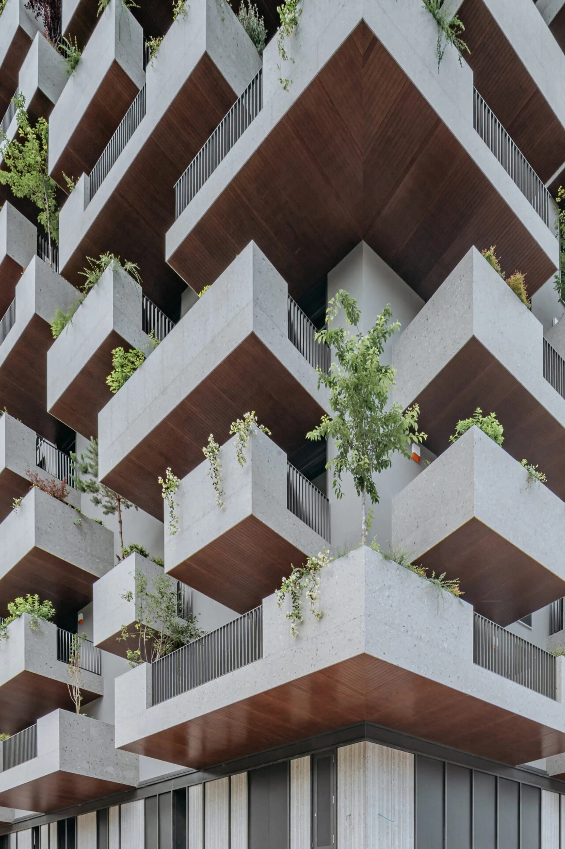 Hall Hotel - Corridoio