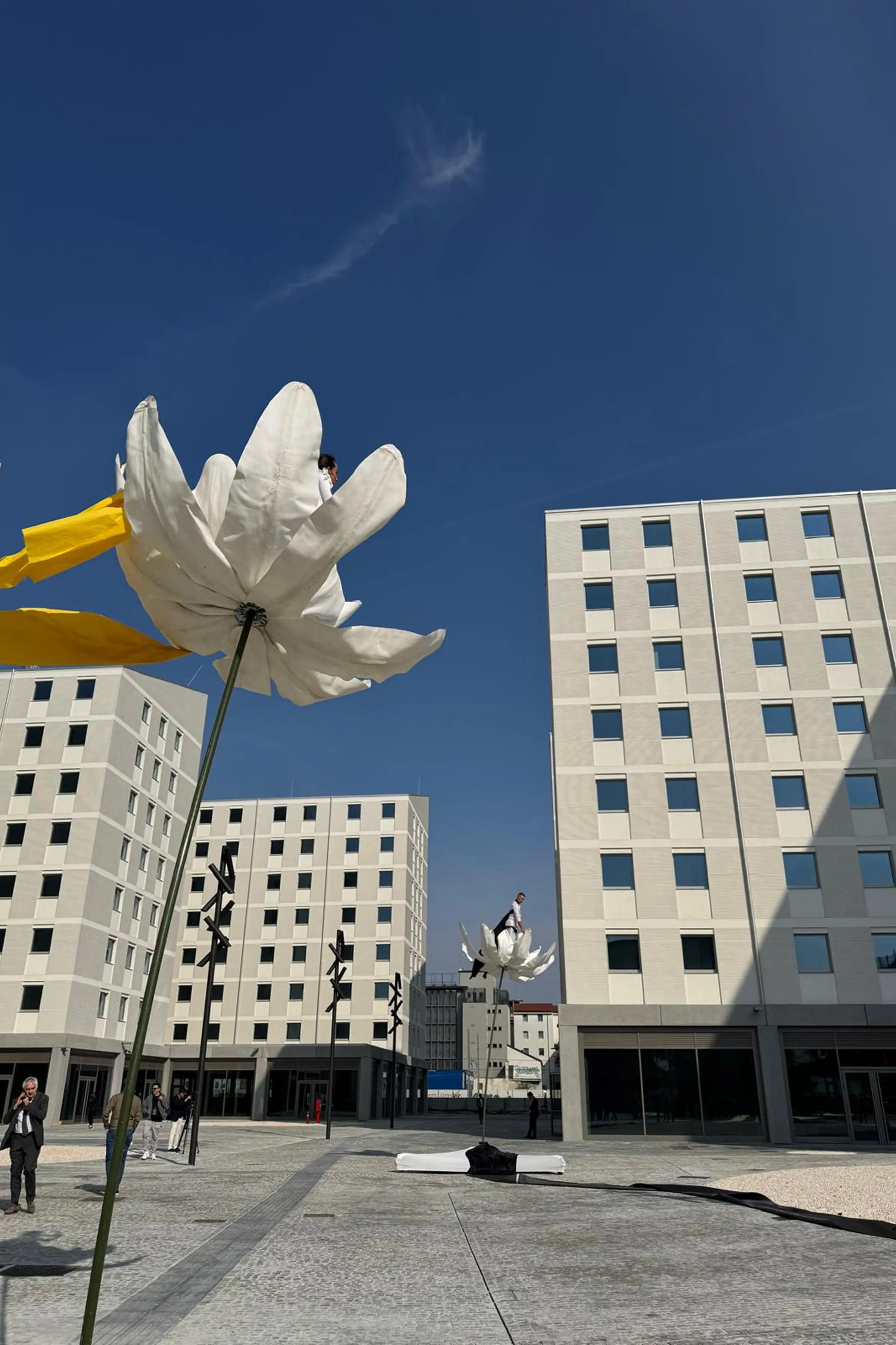 Hall Hotel - Vista principale